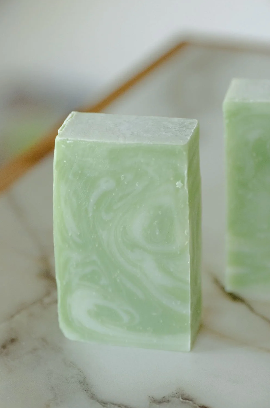 Moisturizing Hand + Body Wash | VEGAN | Aloe + Coconut