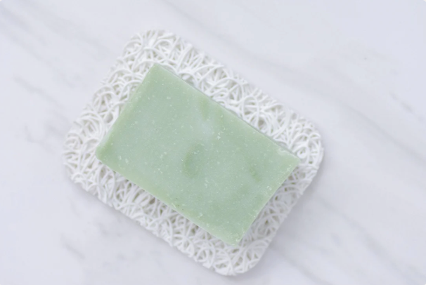 Moisturizing Hand + Body Wash | VEGAN | Aloe + Coconut