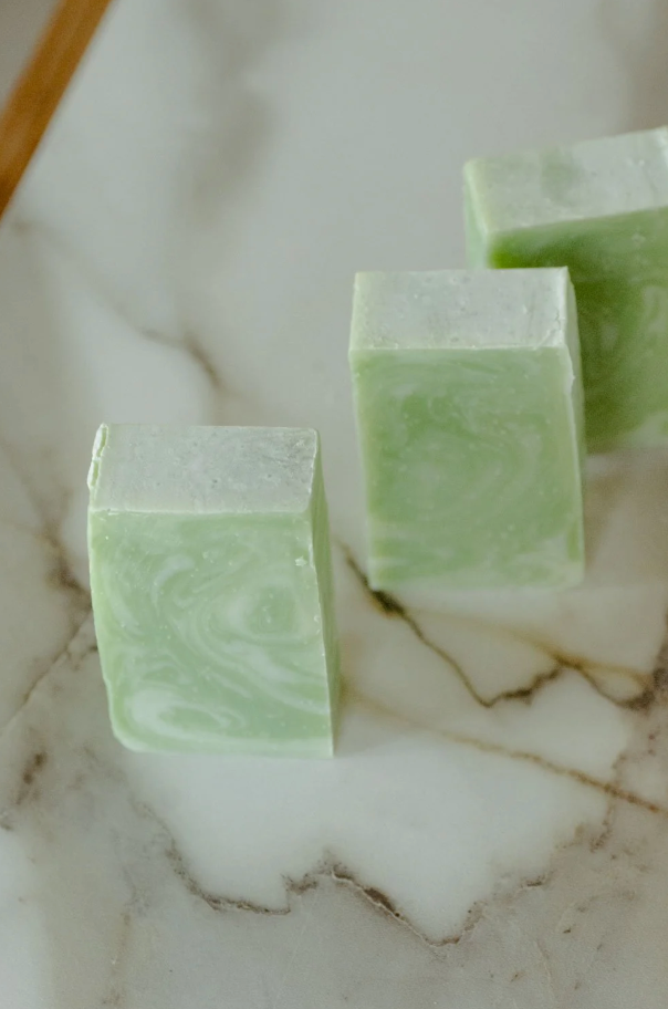 Moisturizing Hand + Body Wash | VEGAN | Aloe + Coconut
