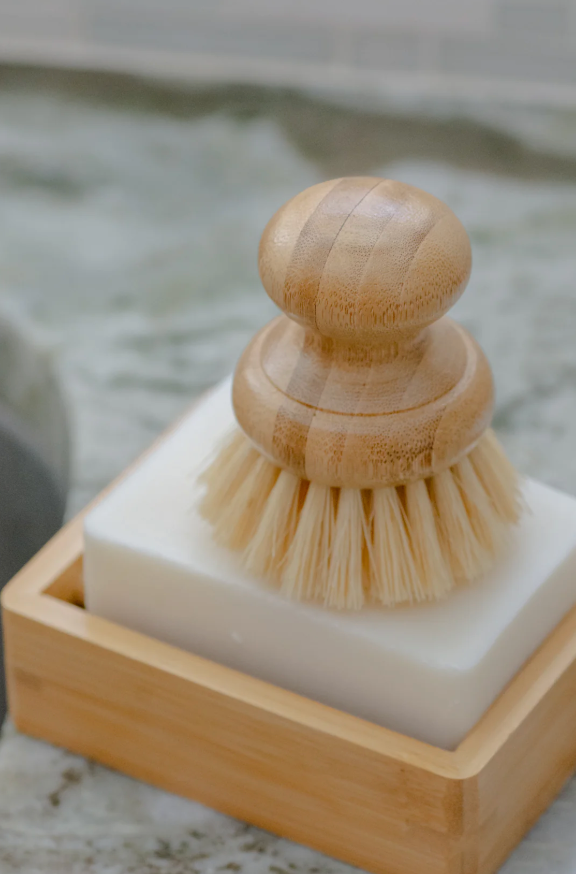 CASA AGAVE® | Dish Brush