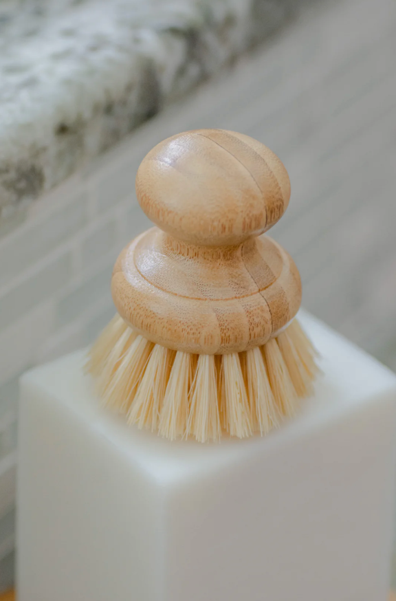 CASA AGAVE® | Dish Brush