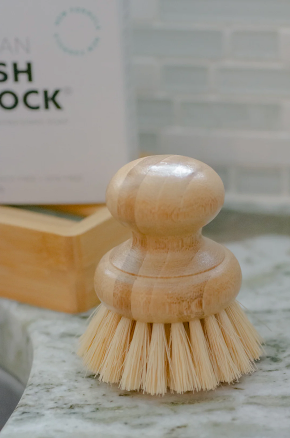 CASA AGAVE® | Dish Brush