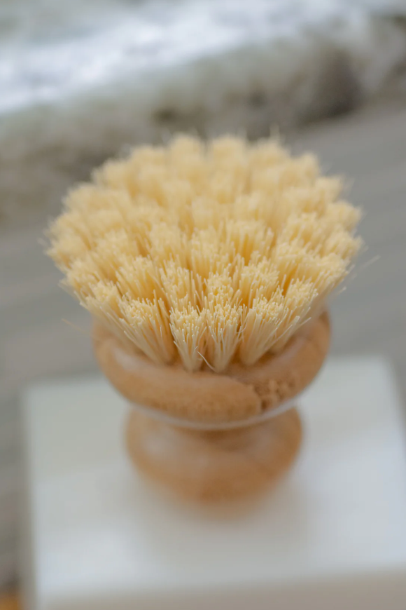 CASA AGAVE® | Dish Brush