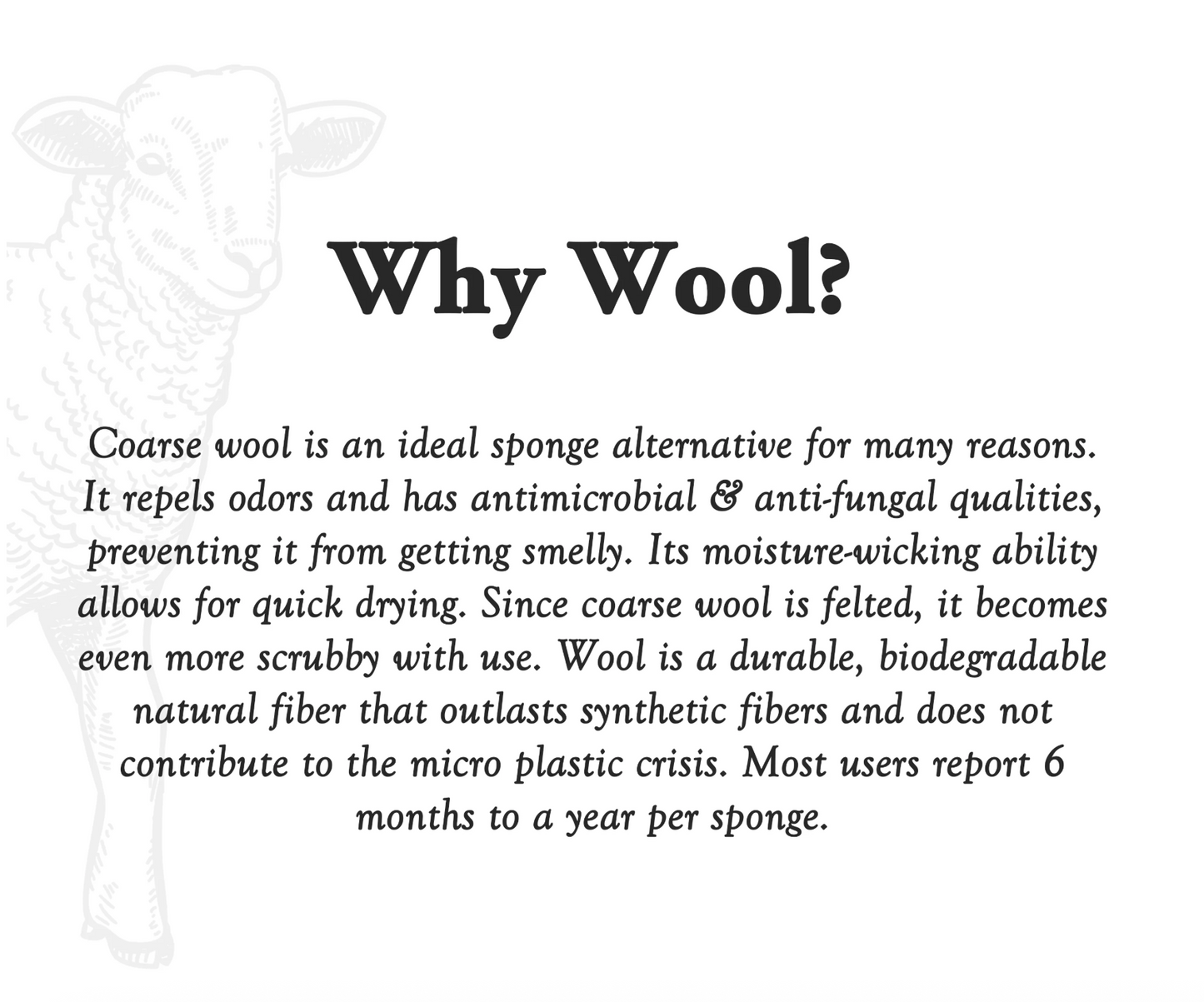Eco-Friendly Wool Scrub | Sustainable Sponge