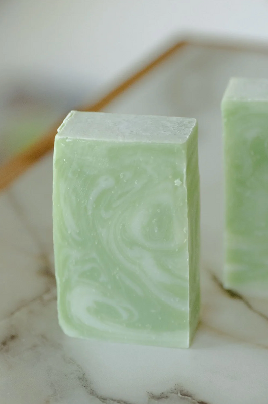 Moisturizing Hand + Body Wash | VEGAN | Aloe + Coconut