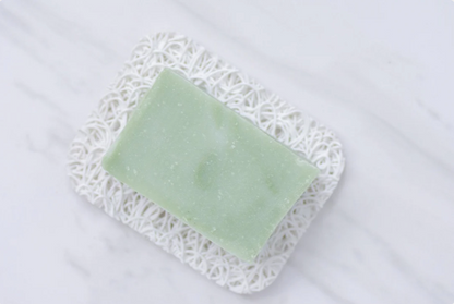 Moisturizing Hand + Body Wash | VEGAN | Aloe + Coconut