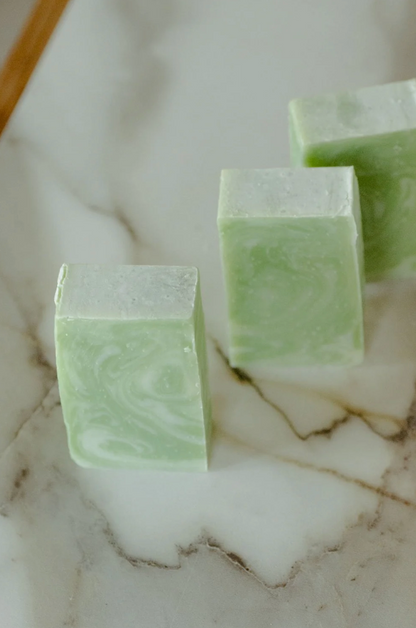 Moisturizing Hand + Body Wash | VEGAN | Aloe + Coconut