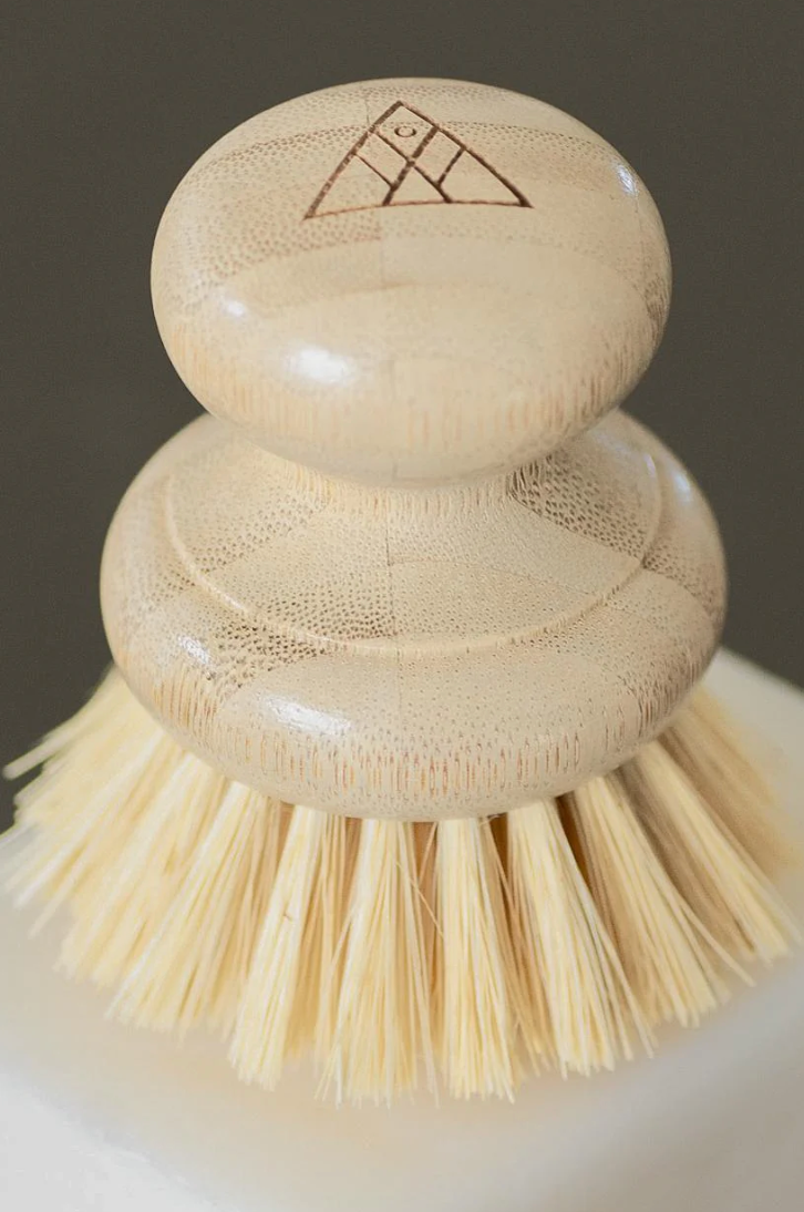 CASA AGAVE® | Dish Brush